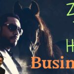 Zero To Hero : Business Success